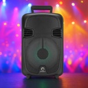 Parlante Karaoke 8¨
